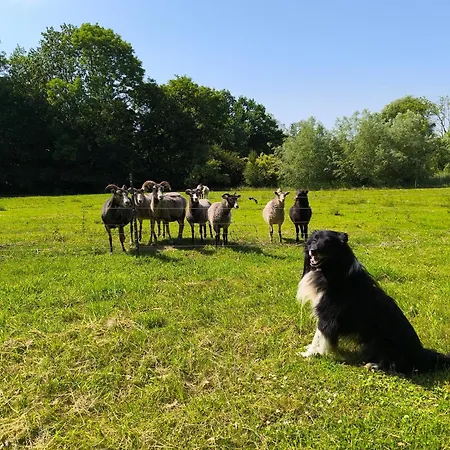 Апартаменты Herrenhaus Harmshagen