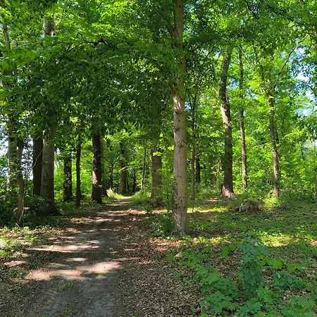 Herrenhaus Harmshagen *