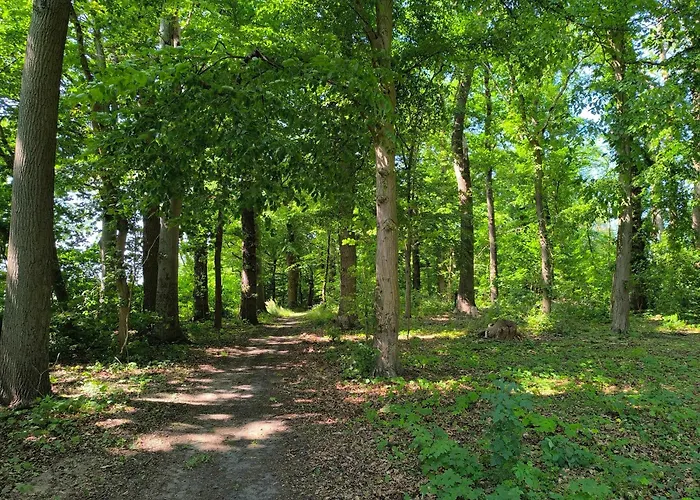 Herrenhaus Harmshagen *